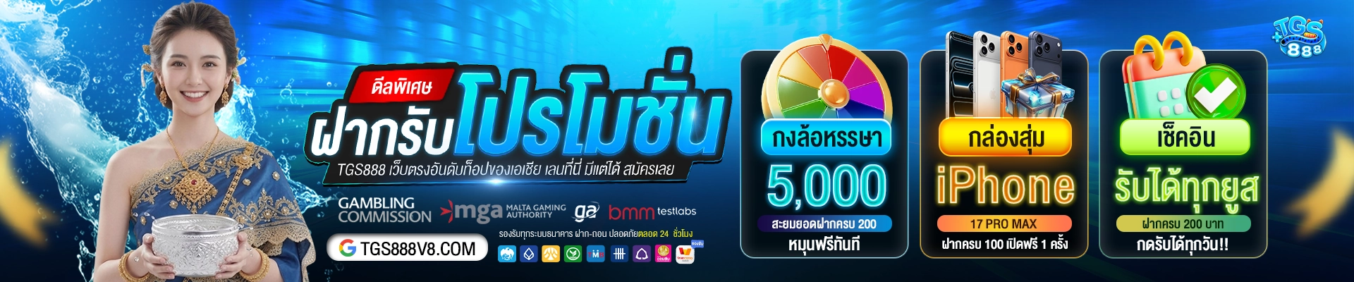 TGS888-2-2.webp